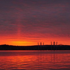 Sorry (Feat Famous Al & VeyeB)