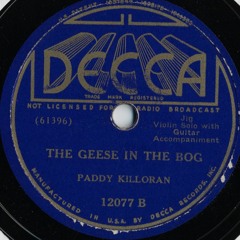 The Geese in the Bog - Paddy Killoran and Michael Whitey Andrews