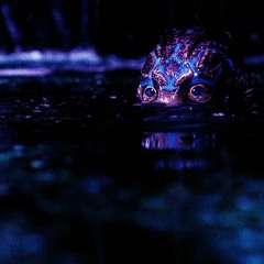 AYONIKZ - WATERBOI (ICONICS RMX)- FREE DL
