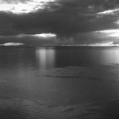 Jones - Synapsen Terror