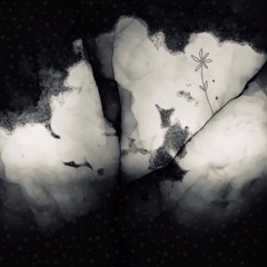Close Night (Original Mix)