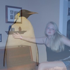 Penguins (Feat. Babs)