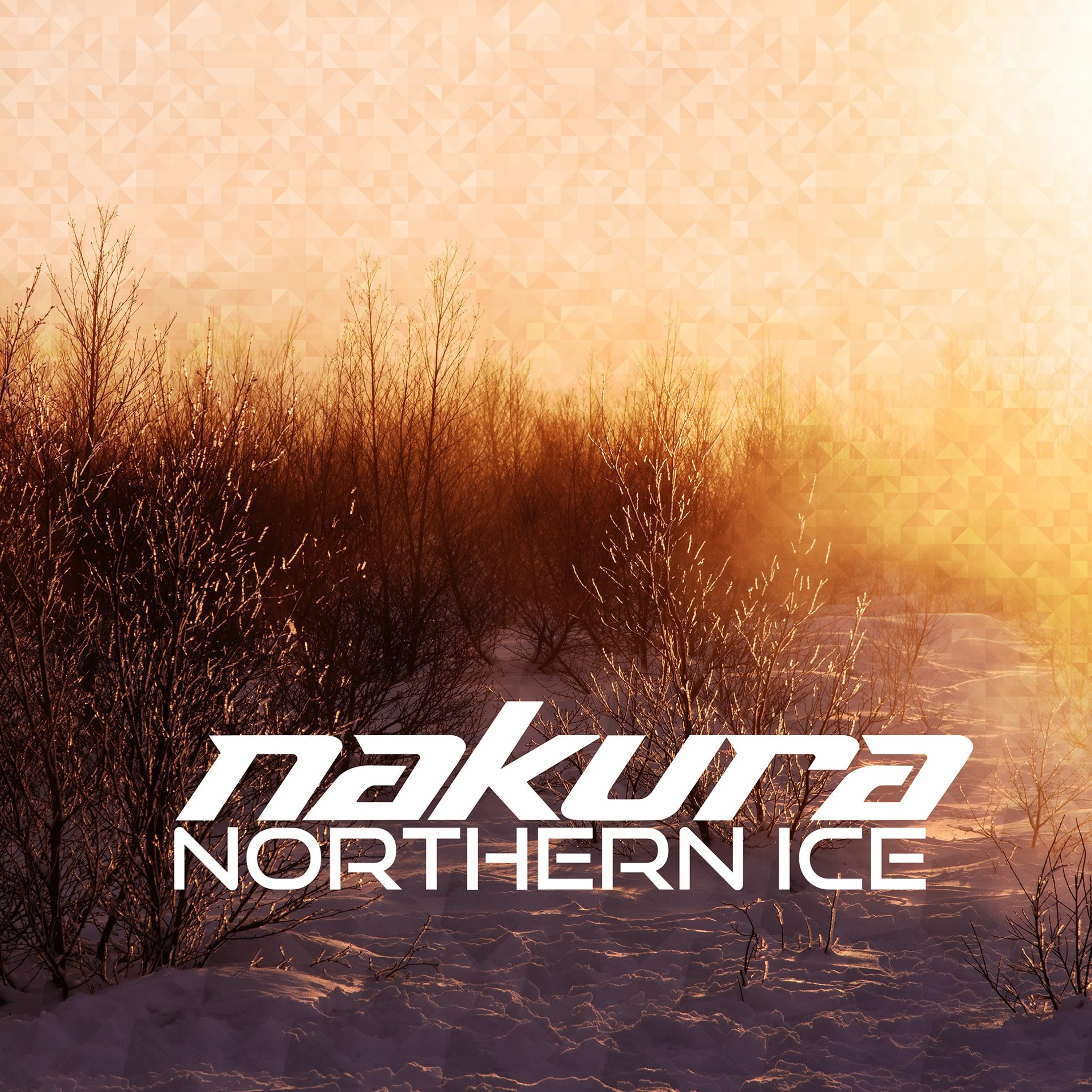 Nakura\'s Music