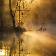 gravity of the unknown