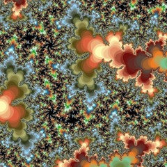 cDa29 (tetrachromat) (2017)