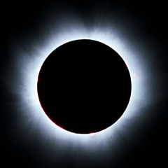 A Drop is the Whole Ocean