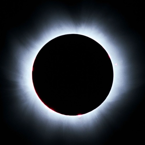 A Drop is the Whole Ocean