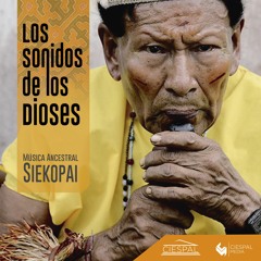 Los sonidos de los Dioses: música ancestral Siekopai de la Amazonía Ecuatoriana