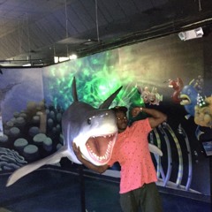 Jet Kuzzi - Aquarium