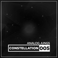Analog Jungs @ Constellation 005