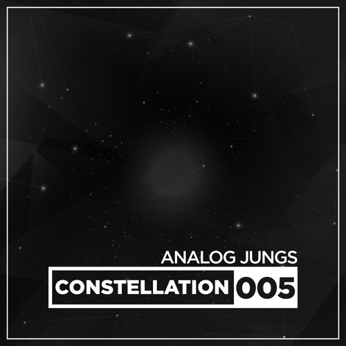 Analog Jungs @ Constellation 005