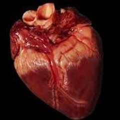 BenRaw X Fesus  “show love”