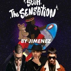 SECH - ANUEL AA- BRYTIAGO - BAD BUNNY - 2019 MIX