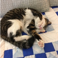 Philadelphia II CBMC Cover