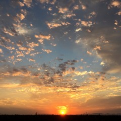 Everyday Everythings