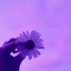 daycore • miracle • caravan palace