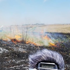 Midwestern Prairie Burning - ILL Acoustic Ecology