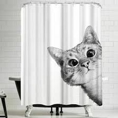 Showers