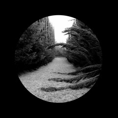 Ladan - Section