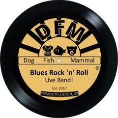 11 Sweet Home Chicago