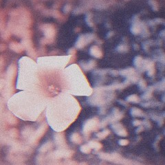 Can I Get Your Love - BMB x MIKEY ft. BABYTEE (REMIX)