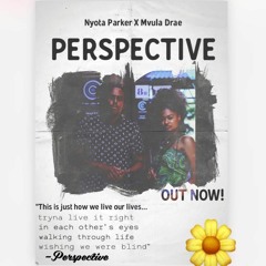 Perspective - Nyota Parker ft. Mvula Drae (Prod. Niner Konnekt)Mix&Master. Jay Loopz