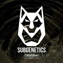 The Architect (Original Mix) [I AM DIFFERENT]