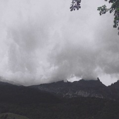 Polnalyubvi - Ветер w/coarseocean