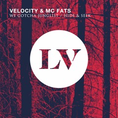 Velocity & MC Fats - We Gotcha Junglist