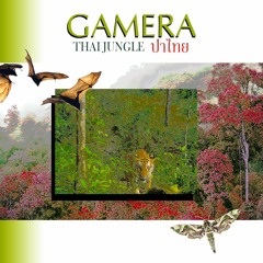 Gamera ~ Thai Jungle ป่าไทย
