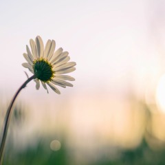 1. Landa i kroppen med musik