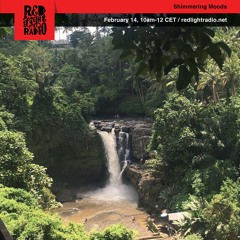 Shimmering Moods @ Red Light Radio 14.2.2019