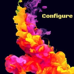 Birdo & C Hustle - Configure (FREE DL)