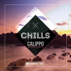 Calippo - Never Really Liked You