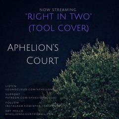 Right In Two (Tool Cover) - Aphelions Court