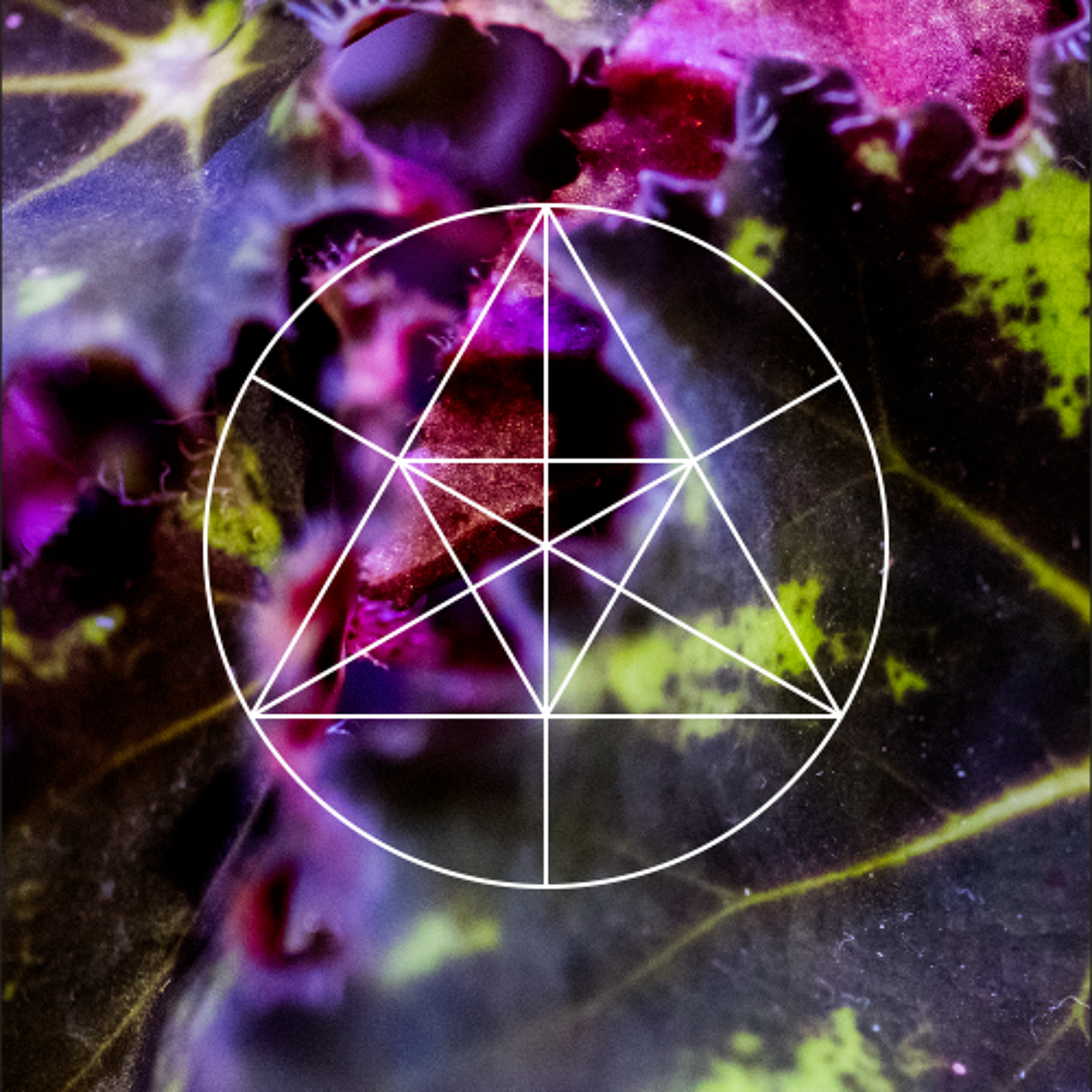 Mysteries of the Deep