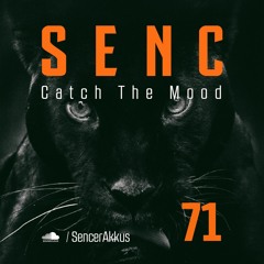Catch The Mood #071