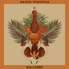 Daniel Steinfels - Dialogue (AmuAmu Remix)