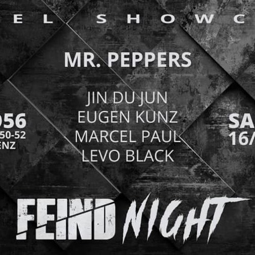 MR. PEPPERS @ FEINDNIGHT, STUDIO56 KOBLENZ ,