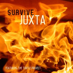 Crash And Burn featuring The Turtle Project