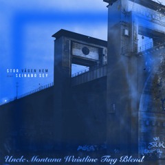 Stor & Seinabo Sey x Mash Up International - Vägen Hem (Uncle Montana Waistline Ting Blend)