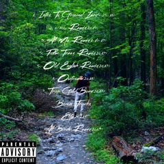 Bonus Track-All Birds remix(2009)