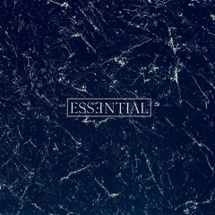 MTD - Essentialist [ESSENTIAL001 | Premiere]
