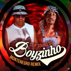 Trip do Boyzinho - Remix Montenegro [FREE DOWNLOAD]