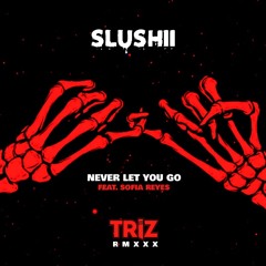 SLUSHII - NEVER LET YOU GO FT. SOFIA REYES (TRIZ RMXXX)