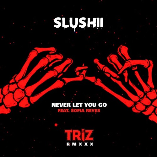 SLUSHII - NEVER LET YOU GO FT. SOFIA REYES (TRIZ RMXXX)