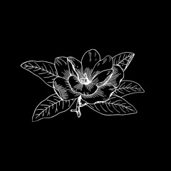 whats it like to be a flower (ft. wikka)