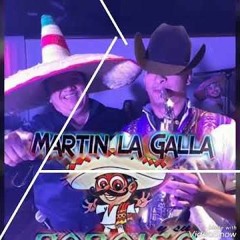 MARTIN LA GALLA PARAISO TROPICAL DE DURANGO CUMBIAS MIX