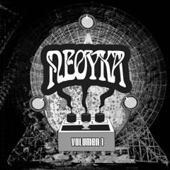 08 Alucinación Paranoide