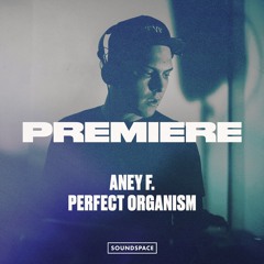 Premiere: Aney F. - Perfect Organism [as usual.music]